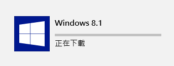 Windows 8.1 (10)