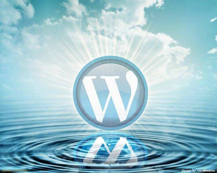 wordpress